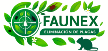 FAUNEX